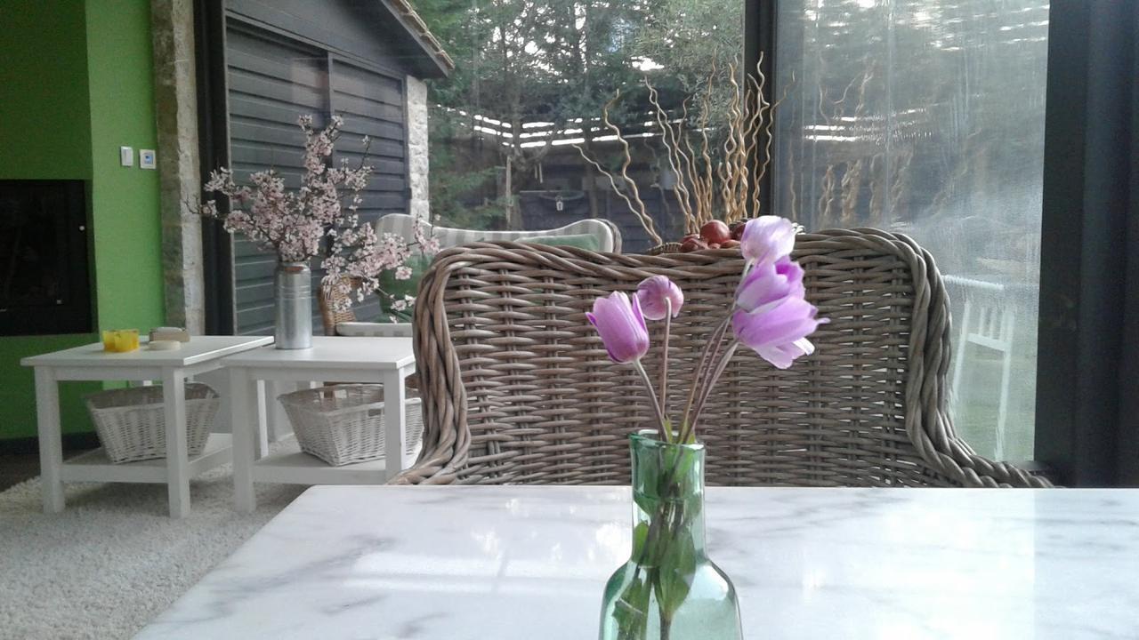 伊莱恩酒店 Ellinikón 外观 照片